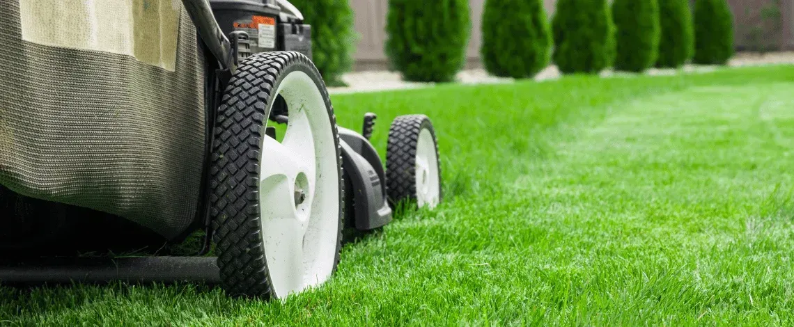 spring lawn care checklist west metro homeowners