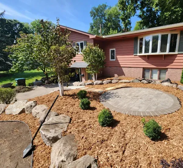 Tree installation services in Loretto MN adding healthy trees to residential landscapes for shade and beauty