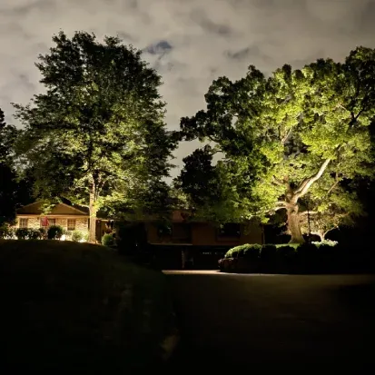 Outdoor yard lighting design in Loretto MN improving visibility and highlighting landscape features after dark