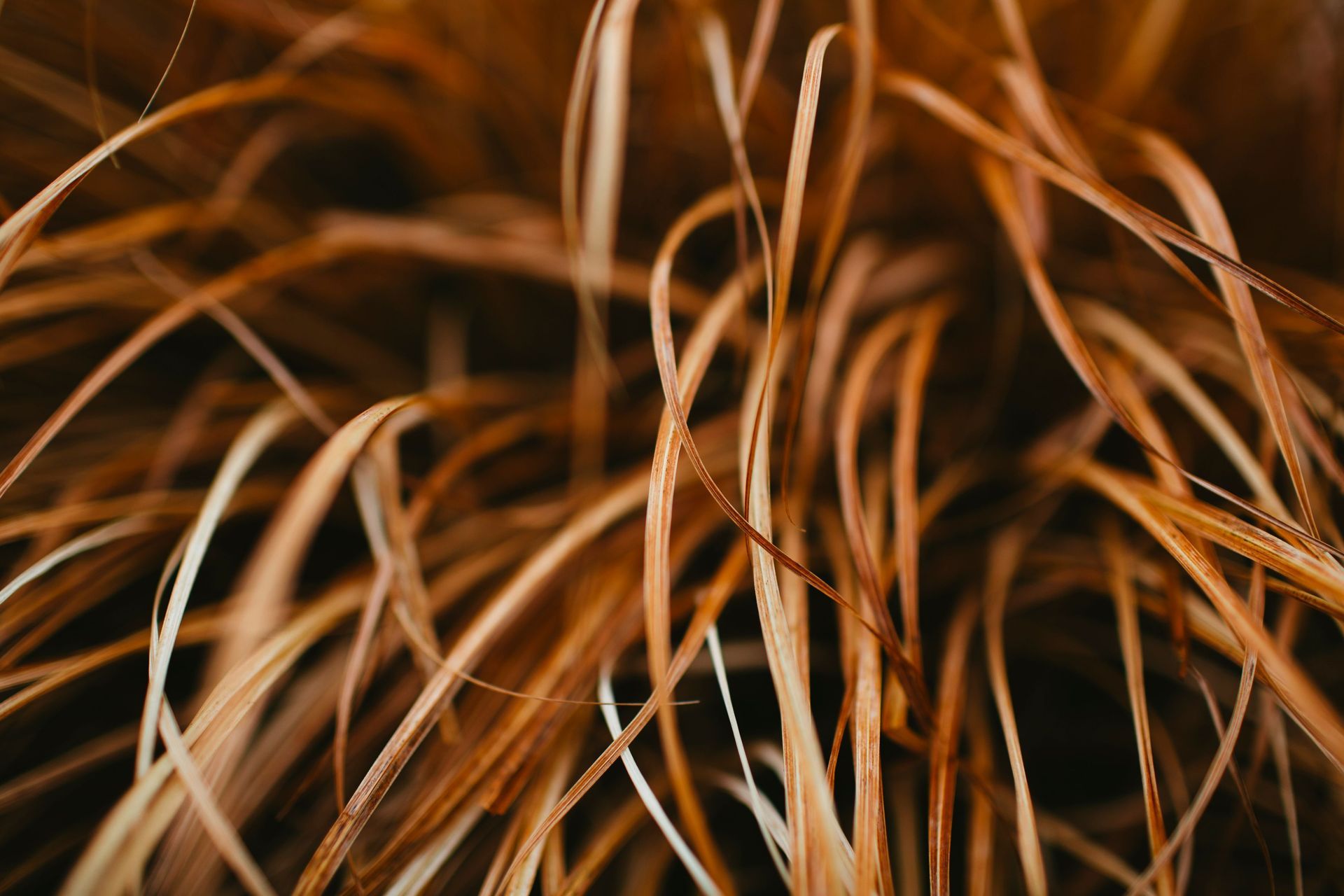 Close-up of tangled copper and brown strands against a dark background