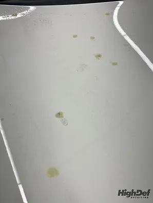 Tree Sap Stains