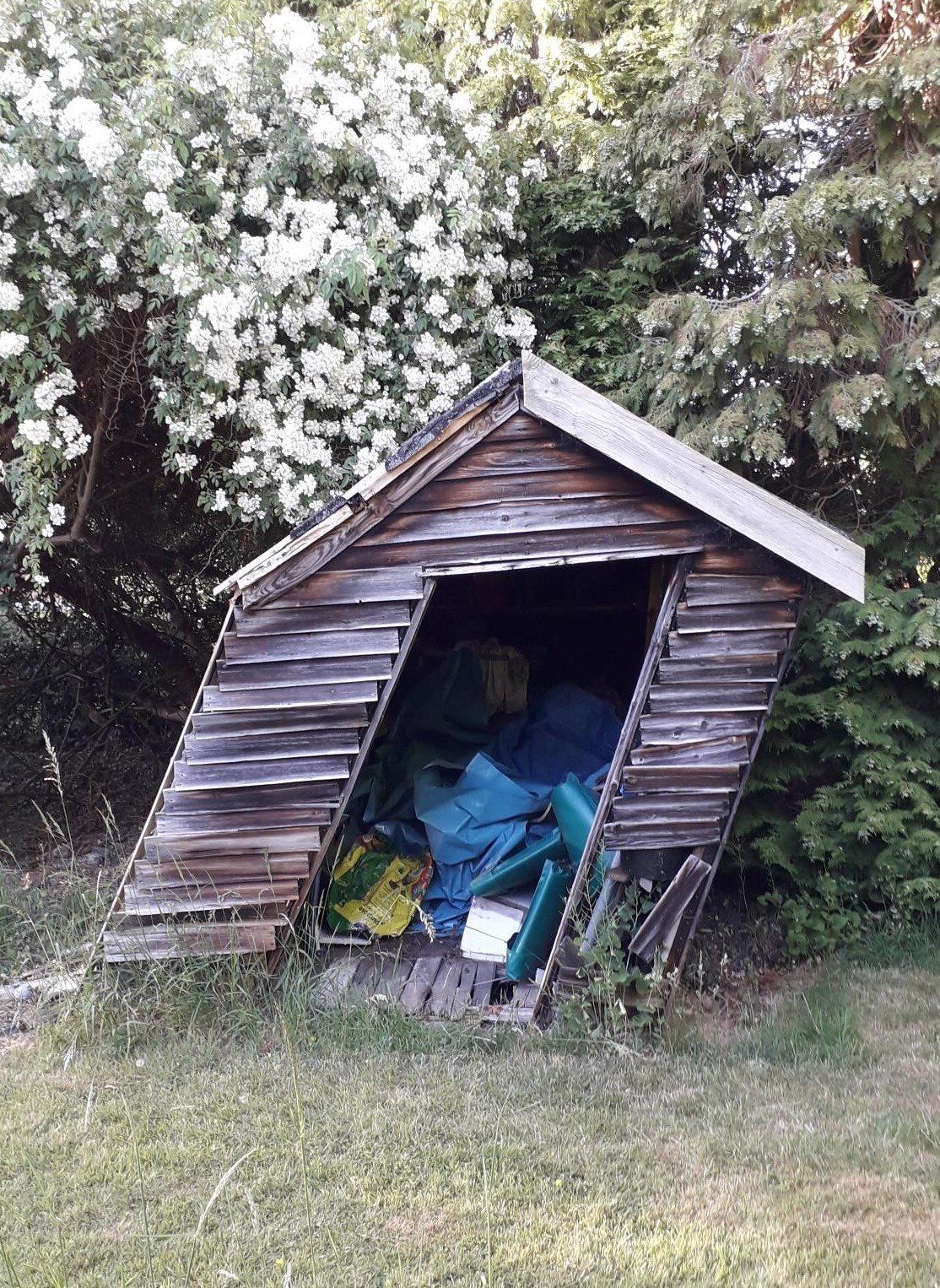 A wonky shed which looks like it will collapse at any moment