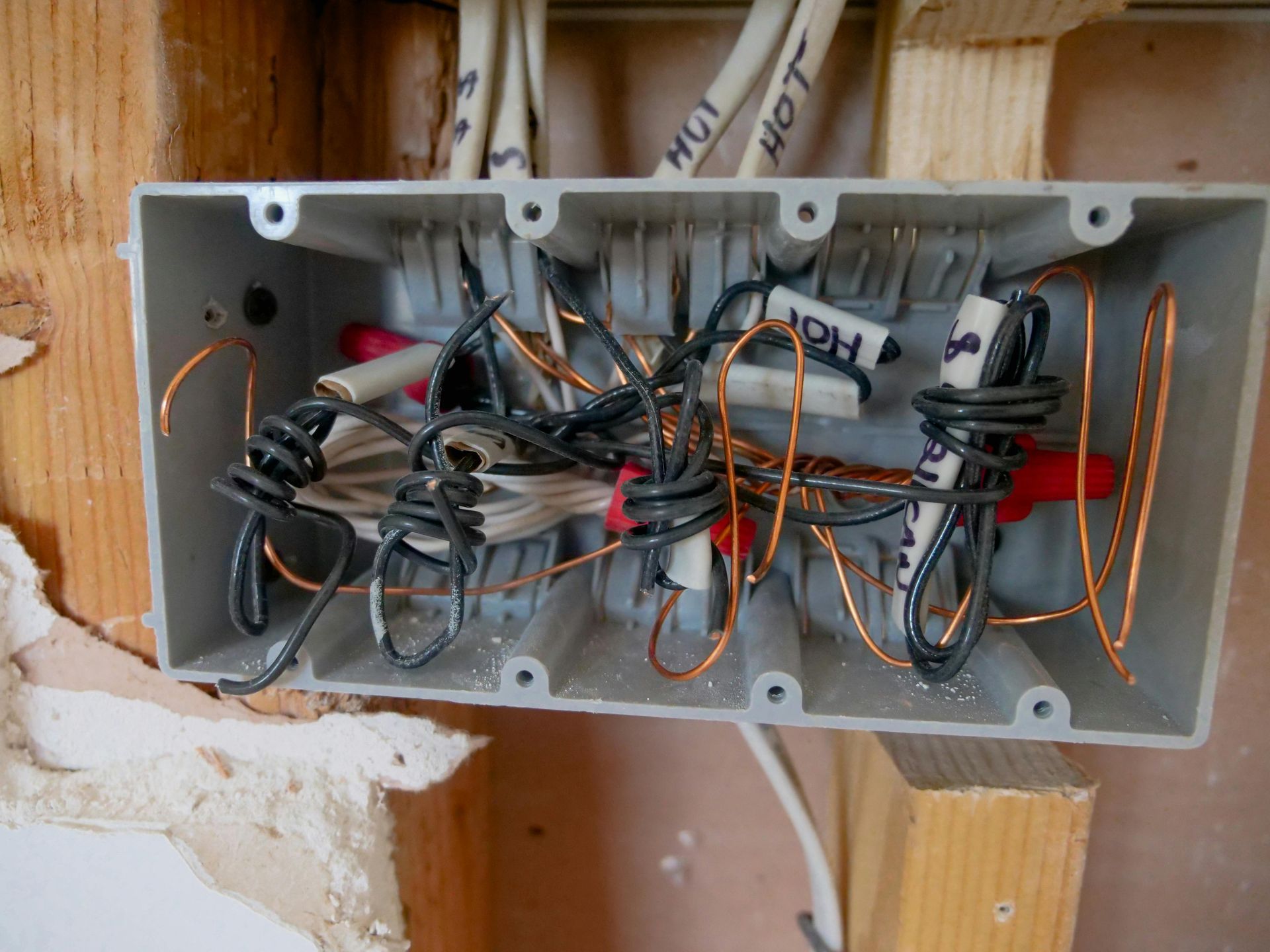 Open electrical junction box with tangled wires and wire nuts, in a wall.