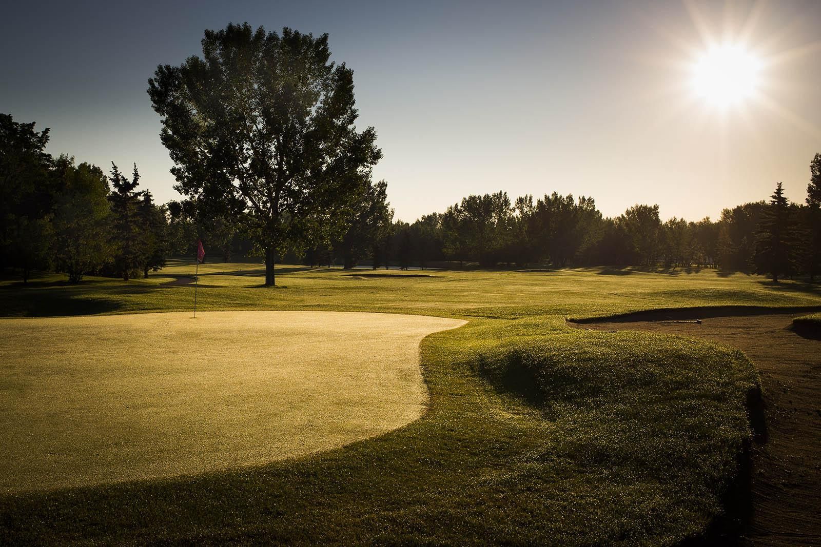 Golf course with sun shining, highlighting the sand trap and green grass around a lone tree.