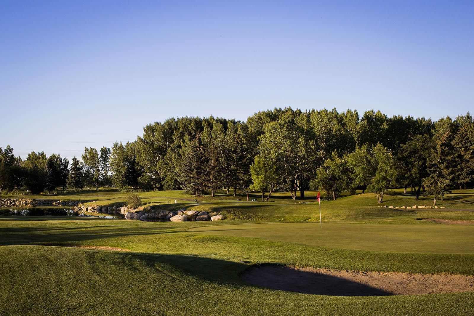 Green golf course with trees under a blue sky.