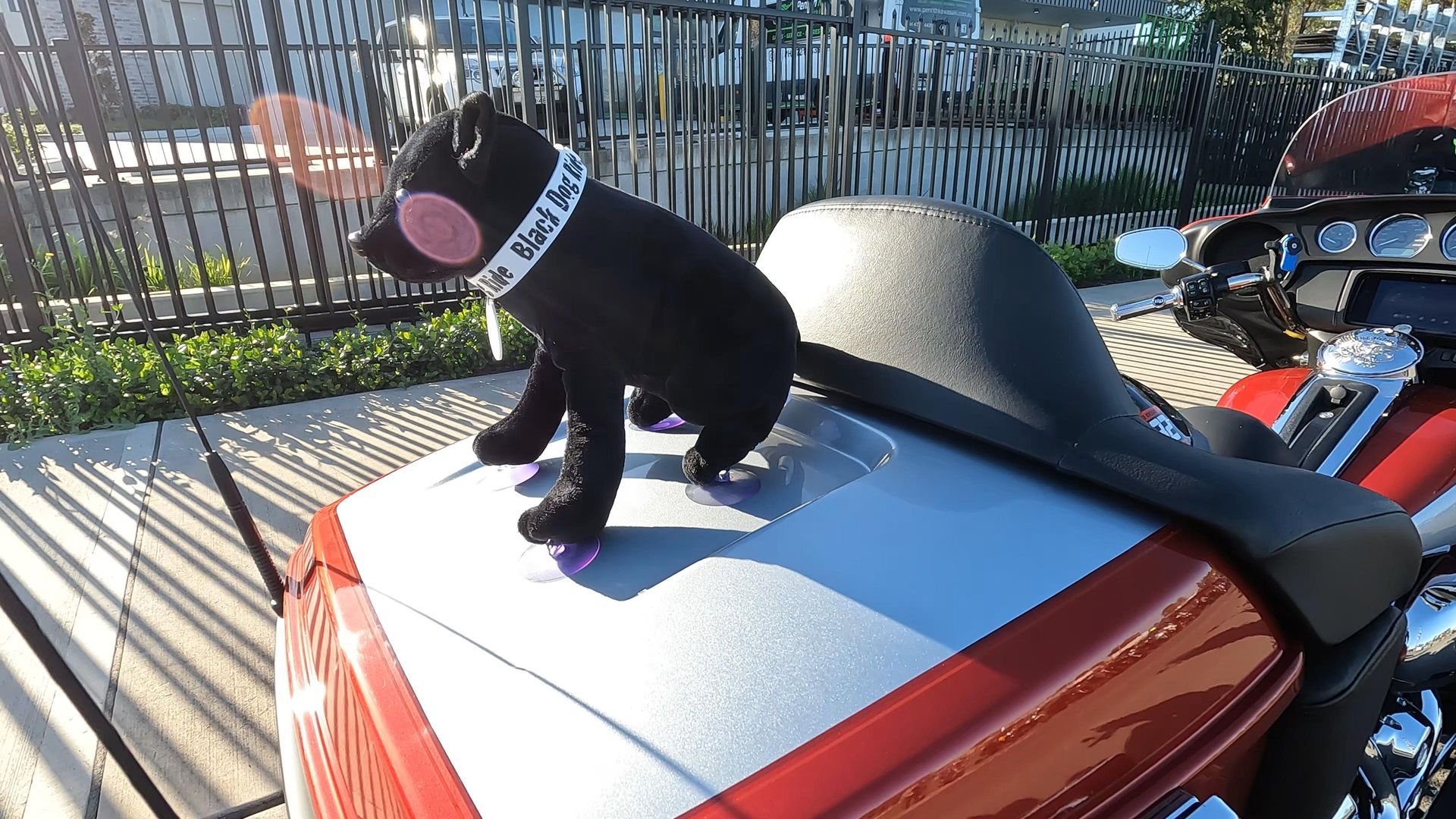 Black Dog Ride Penrith 2023
