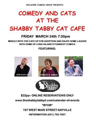 Flyer for 