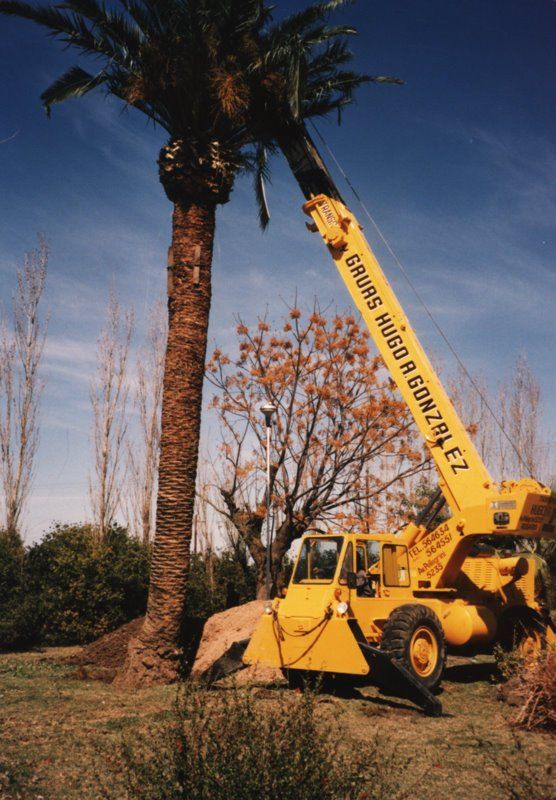 grua