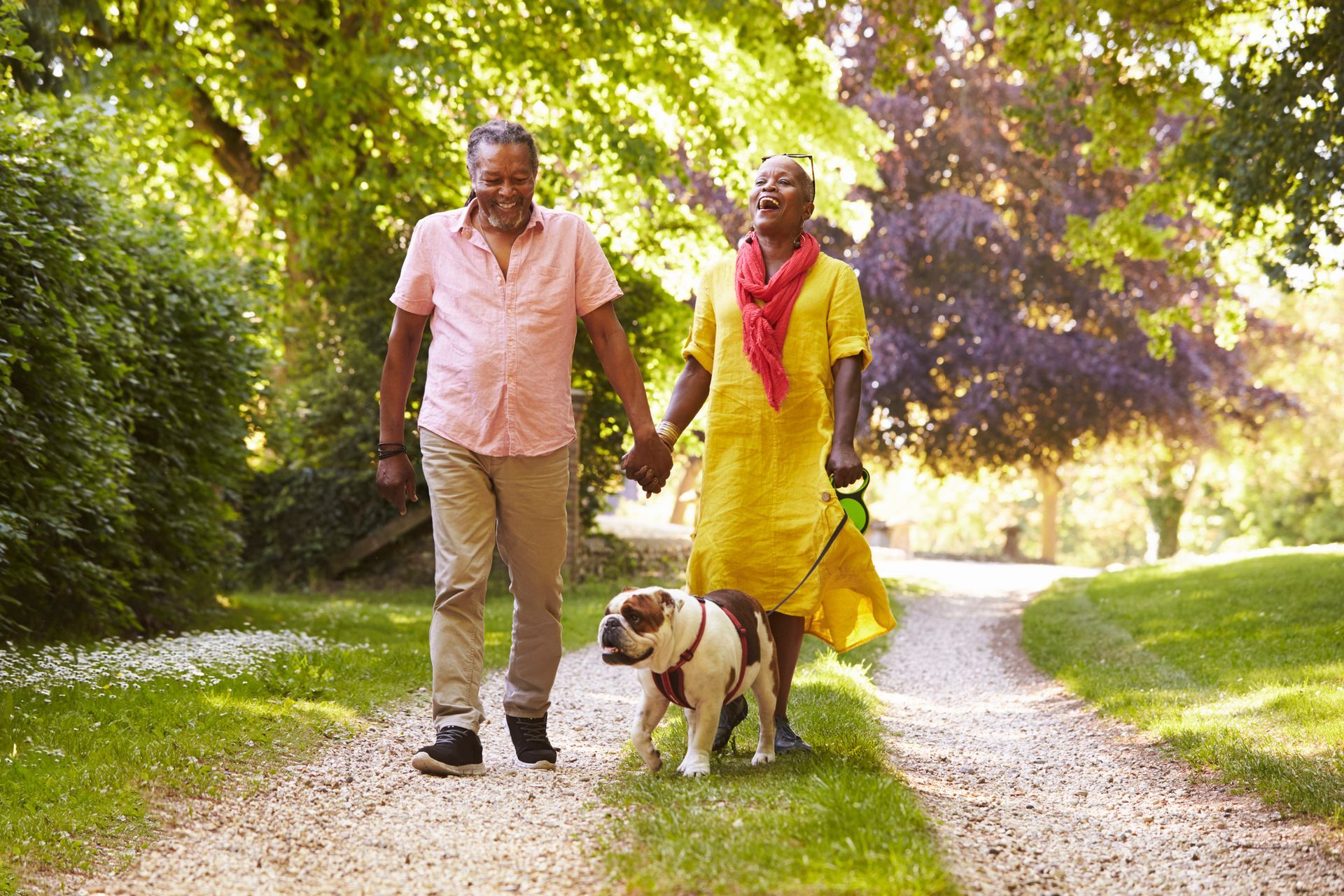 Link to Medicare Planning