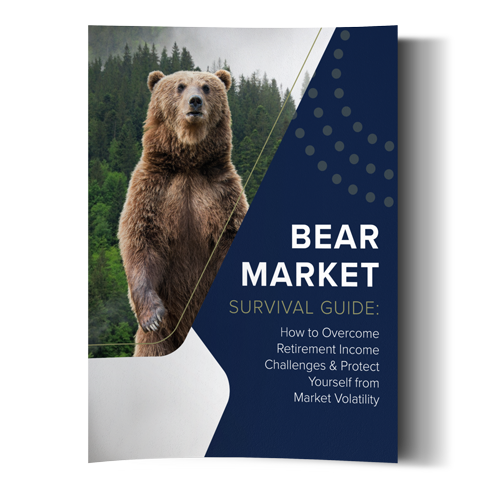 Bear Market Survival Guide