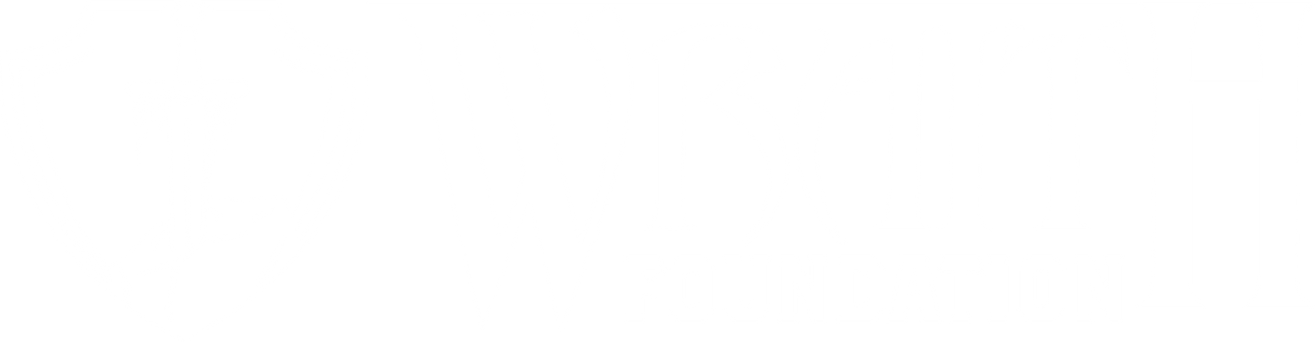 Wraith Foundation, LLC logo