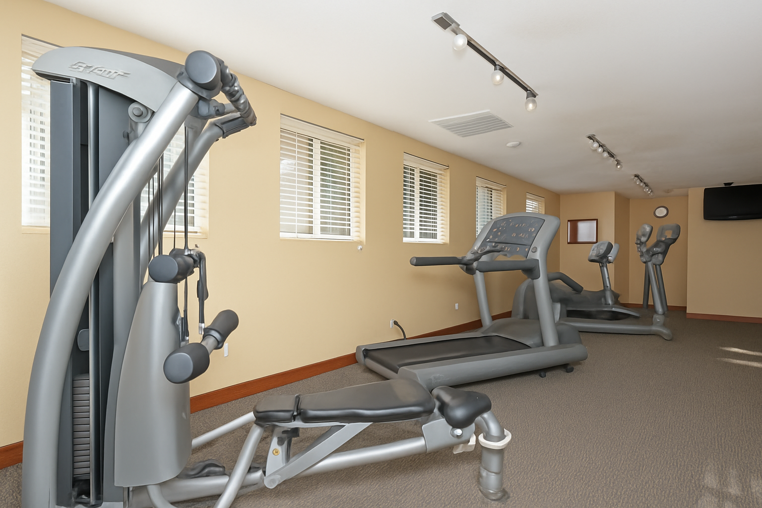 Gym with recumbent bike, elliptical, TV, and windows.