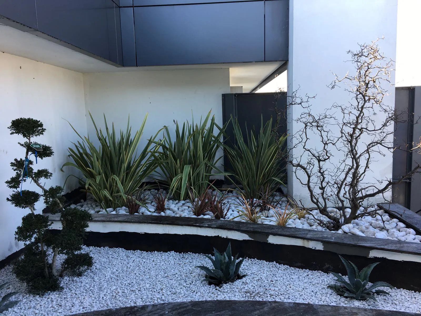 giardino con numerose varietà di piante