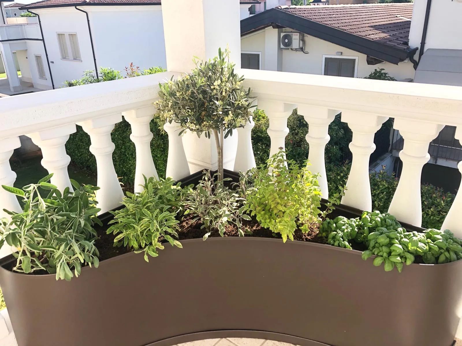 terrazzo con piante ad angolo
