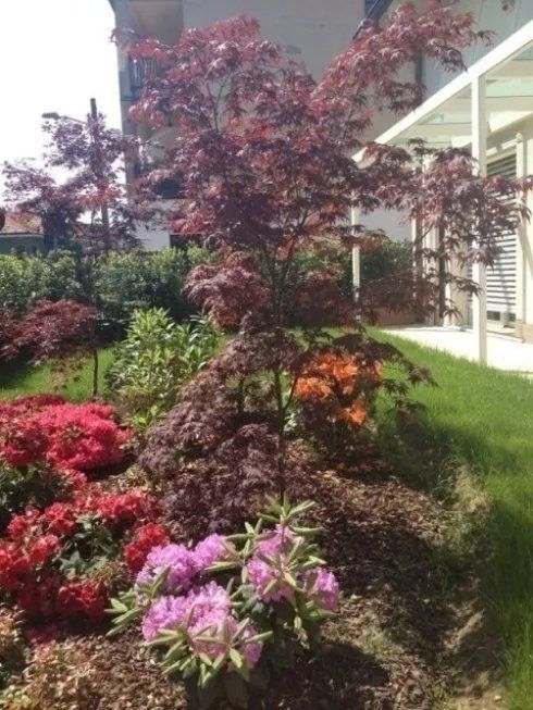 giardino curato dall'impress