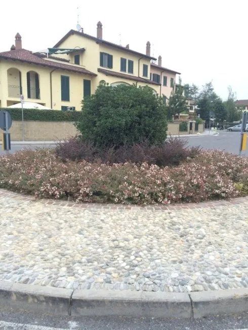 rotonda curata con piante