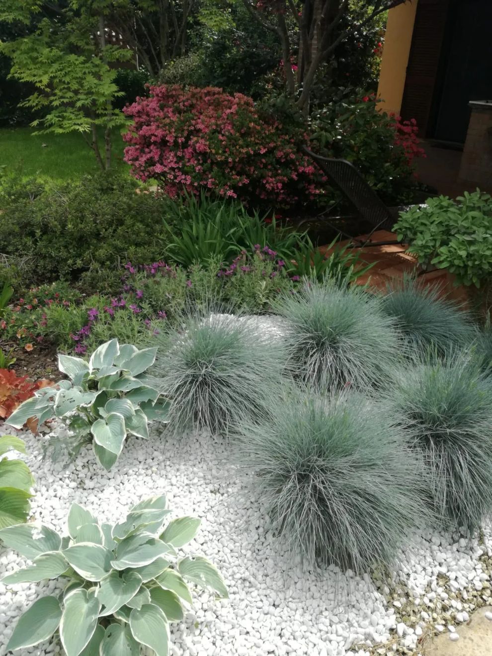 dettaglio varietà di piante in un giardino