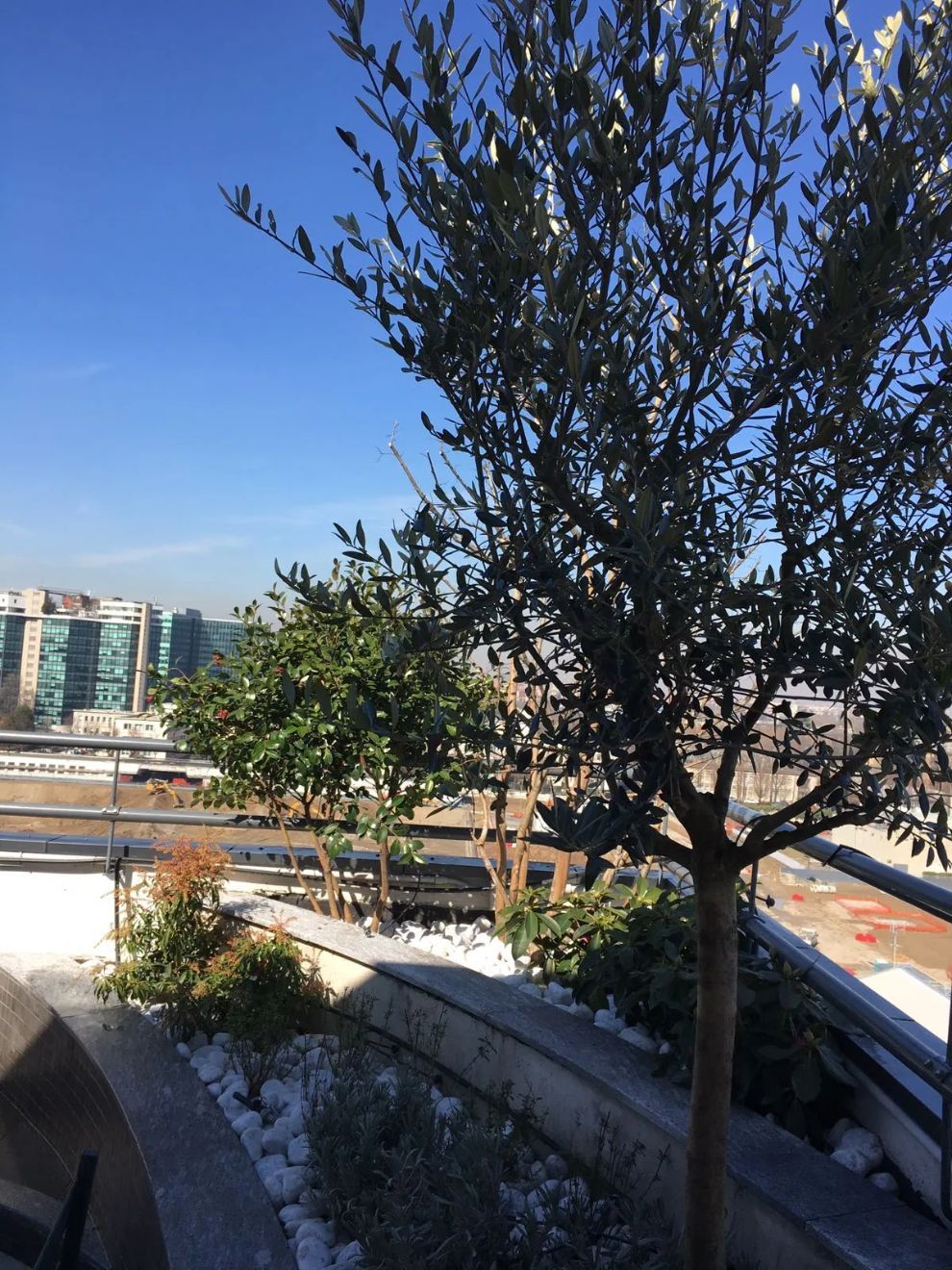 angolo condominiale con piante