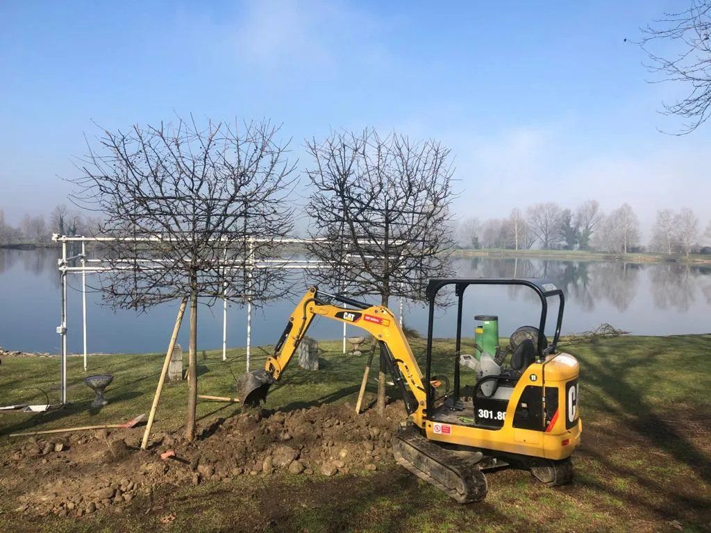 lavori per realizzazione giardino