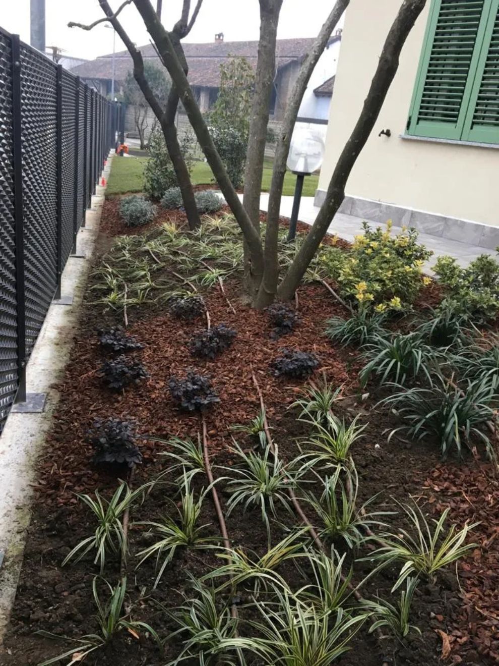 realizzazione giardino con piantumazione piante