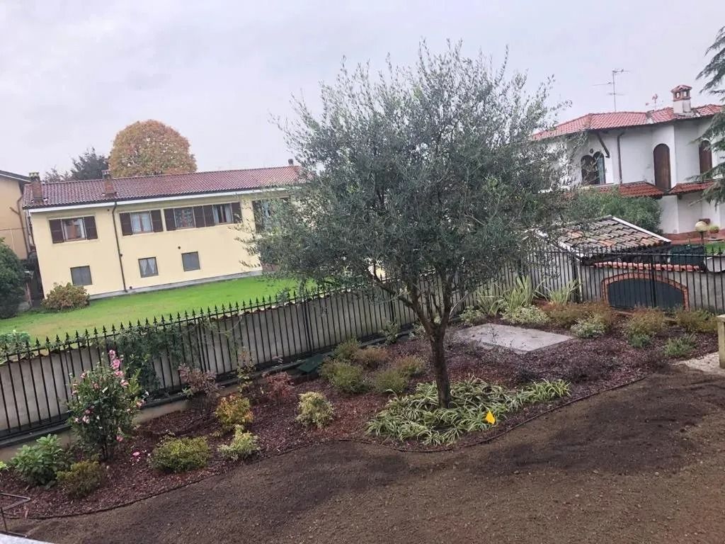 Aiuola con arbusti e un albero di fronte alle case, delimitata da una staccionata.
