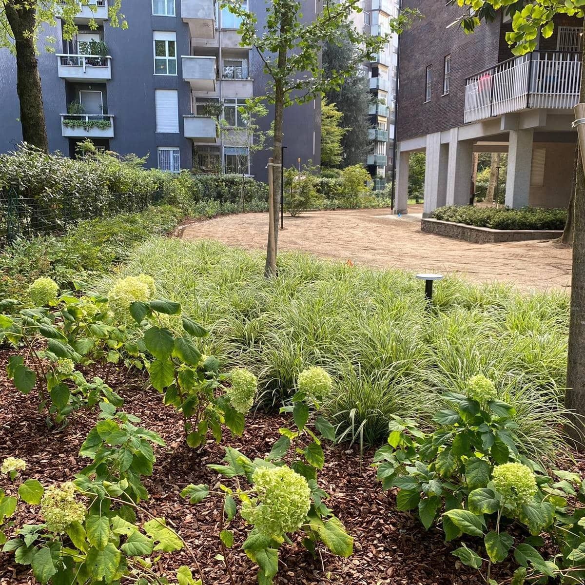 Giardino interno con vegetazione, alberi e palazzi sullo sfondo.