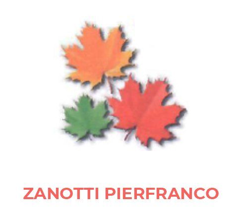 ZANOTTI PIERFRANCO - LOGO ZANOTTI PIERFRANCO - LOGO