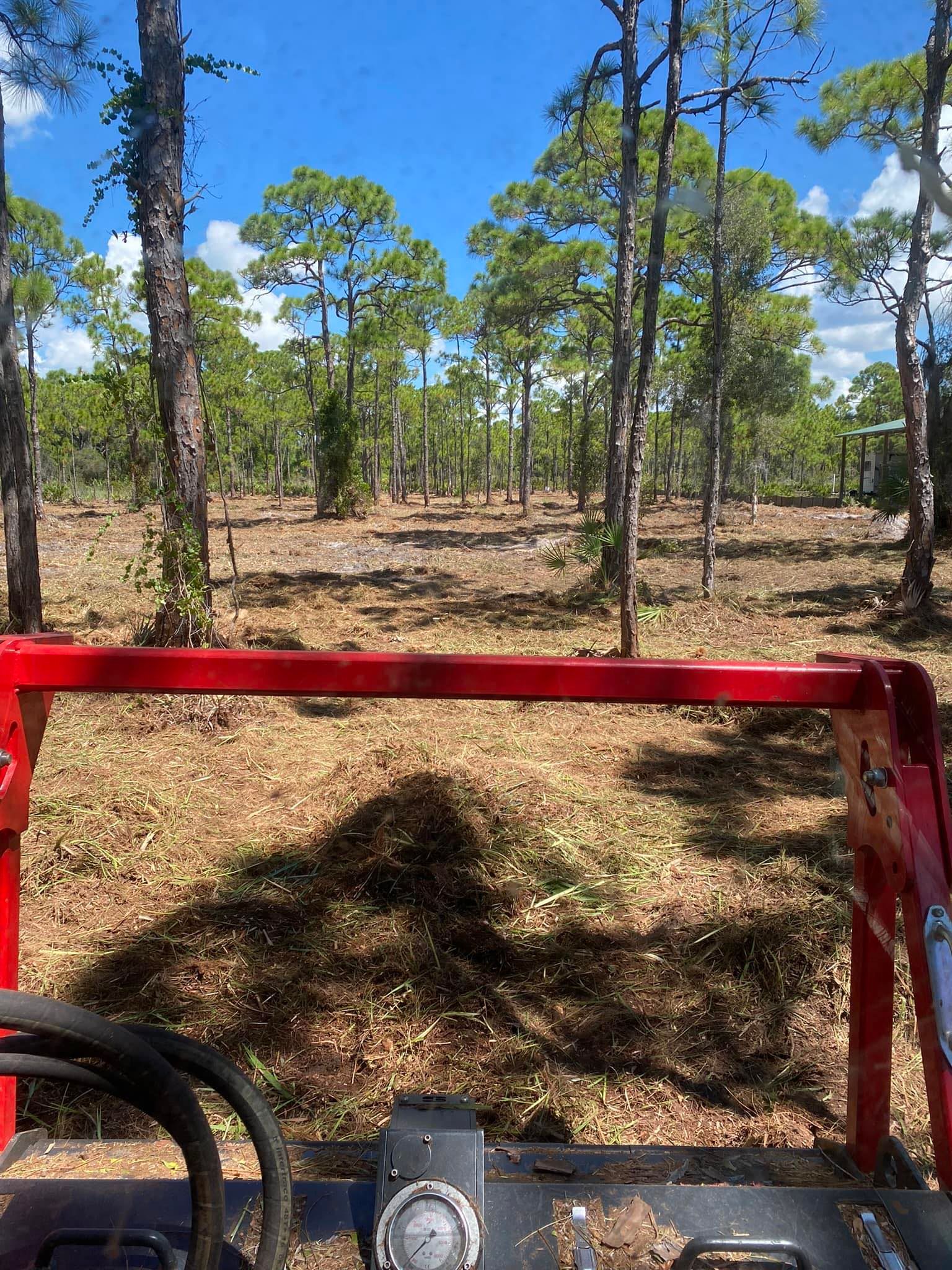 A red vehicle is driving through a forest on a sunny day.