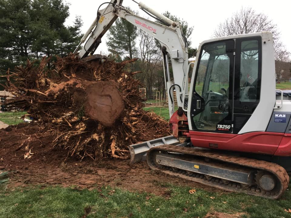 A large tree stump is being removed by an excavator.
