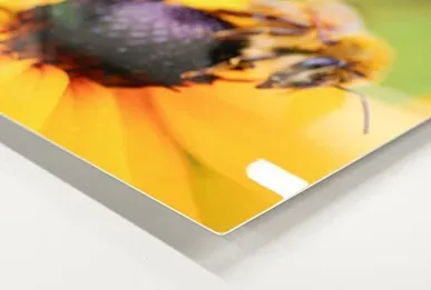 Photo metal prints with vibrant color and modern finish at Robi's Camera
