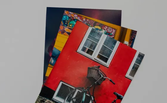 Professional photo prints and enlargements at Robi's Camera Digitizing services banner