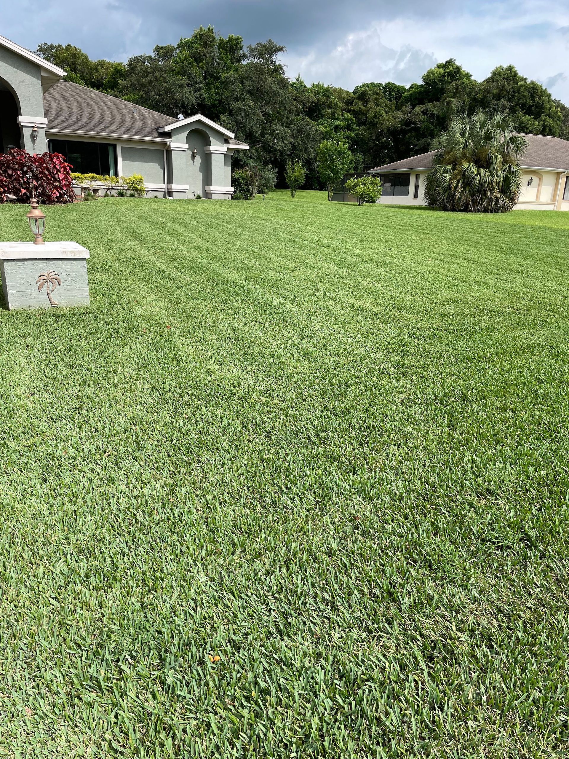A large lush green lawn in front of a house.