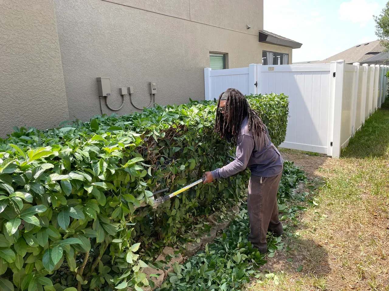 A woman is cutting a hedge with a lawn mower.