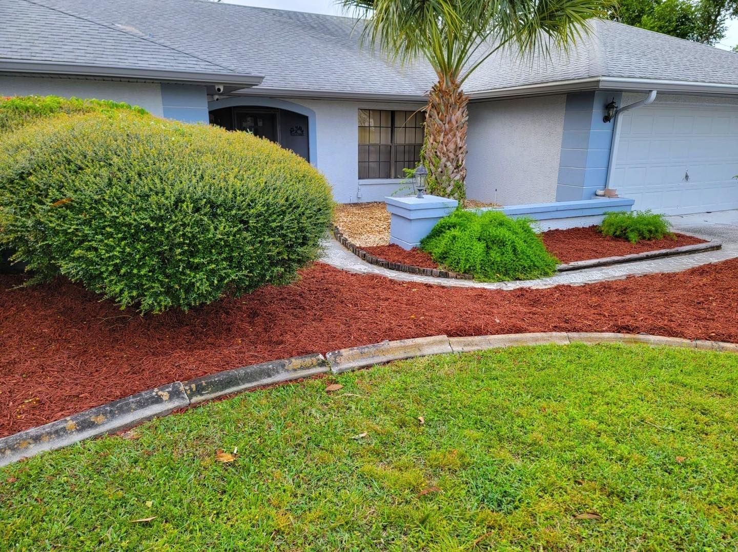 A house with a lush green lawn and a tree in front of it.