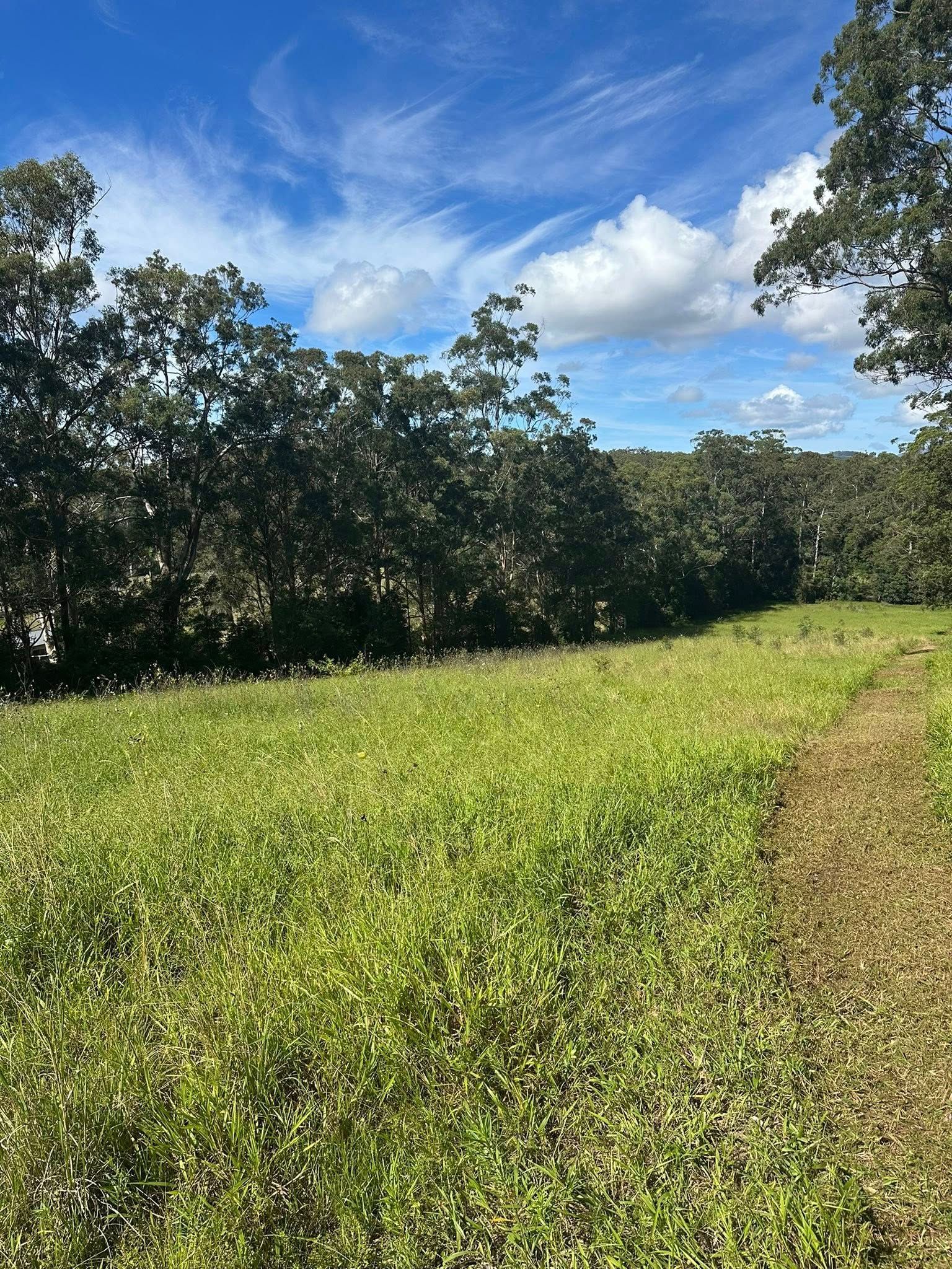 Green Field With a Grassy Path — Ace Clearing & Mulching In Old Bar, NSW