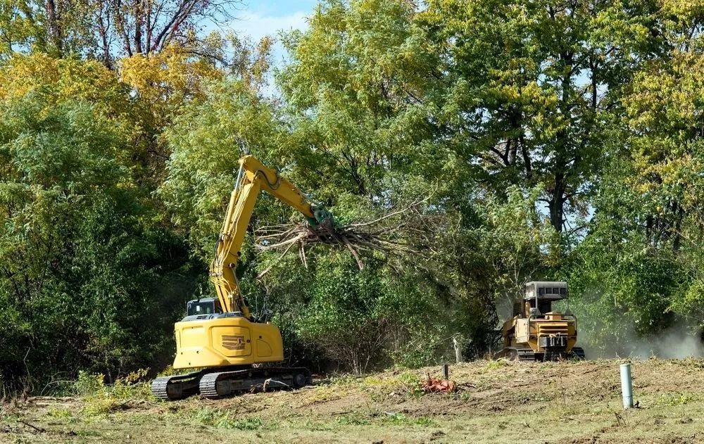 A Yellow Excavator and Bulldozer Clearing Brush From a Wooded Area, on a Sunny Day — Ace Clearing & Mulching In Old Bar, NSW