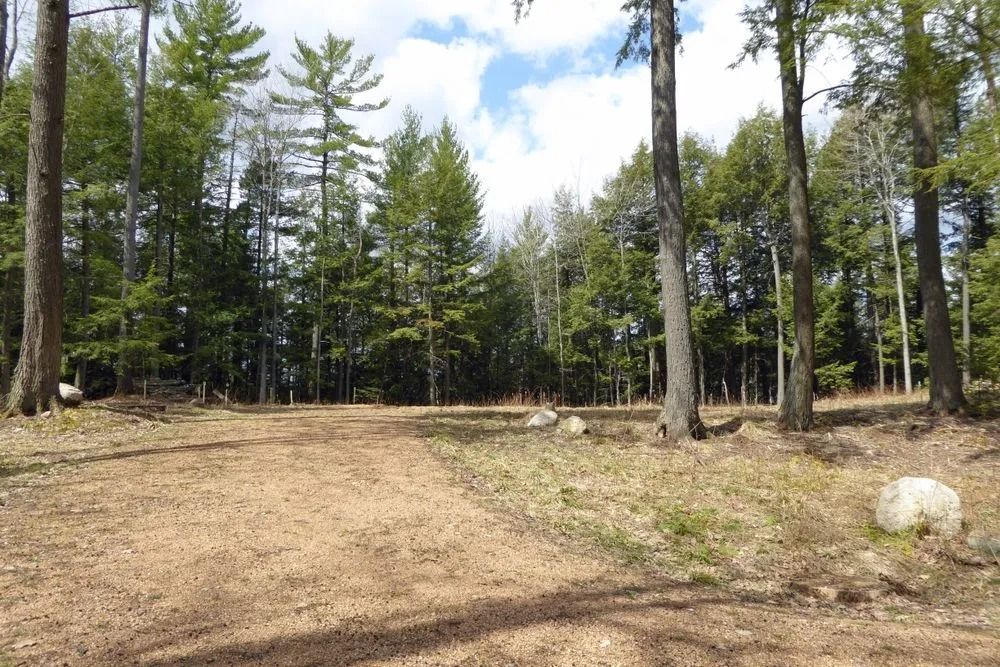 Dirt Path Leading Into a Forest of Tall Trees — Ace Clearing & Mulching In Old Bar, NSW
