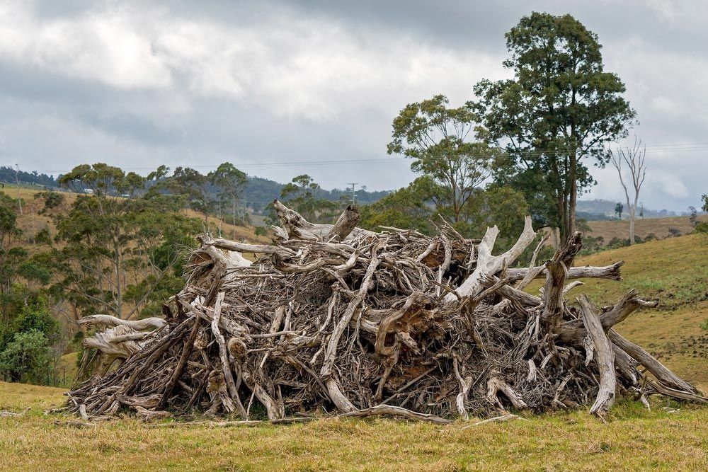 Pile of Dead Tree Branches in a Field With Green Hills — Ace Clearing & Mulching In Old Bar, NSW