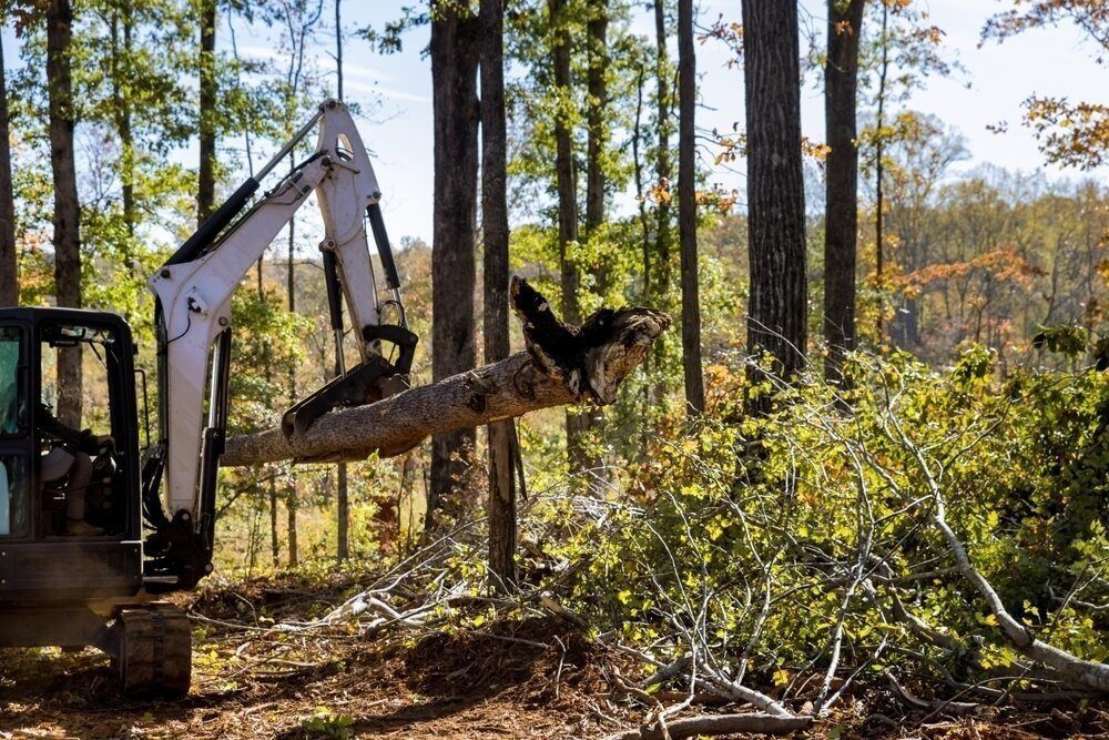 An Excavator Lifting a Fallen Tree Trunk in a Wooded Area — Ace Clearing & Mulching In Old Bar, NSW