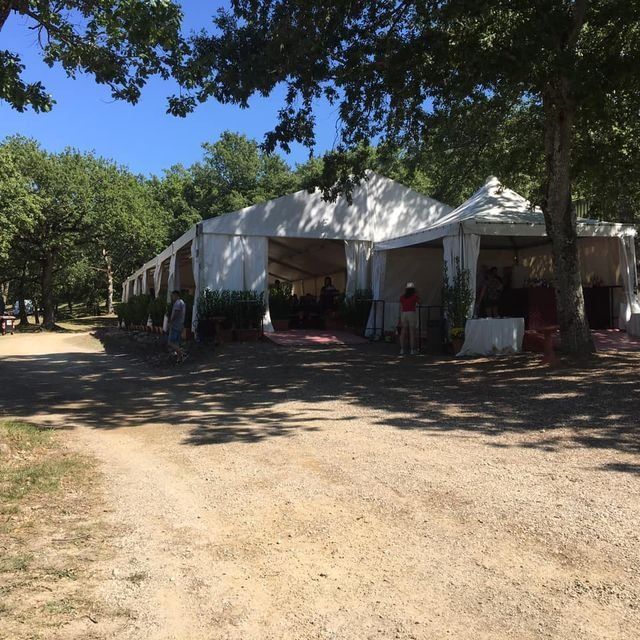 gazebo per fiere