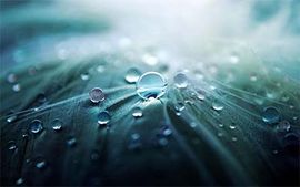 Individual Therapy Counselling Individual Therapy Counselling Surrey, White Rock, Delta, Ladner, North Delta, Newton, Cedar Hills