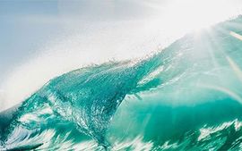 Dialectical Behavior Therapy DBT Counselling Dialectical Behavior Therapy DBT Surrey, White Rock, Delta, Ladner, North Delta, Newton, Cedar Hills