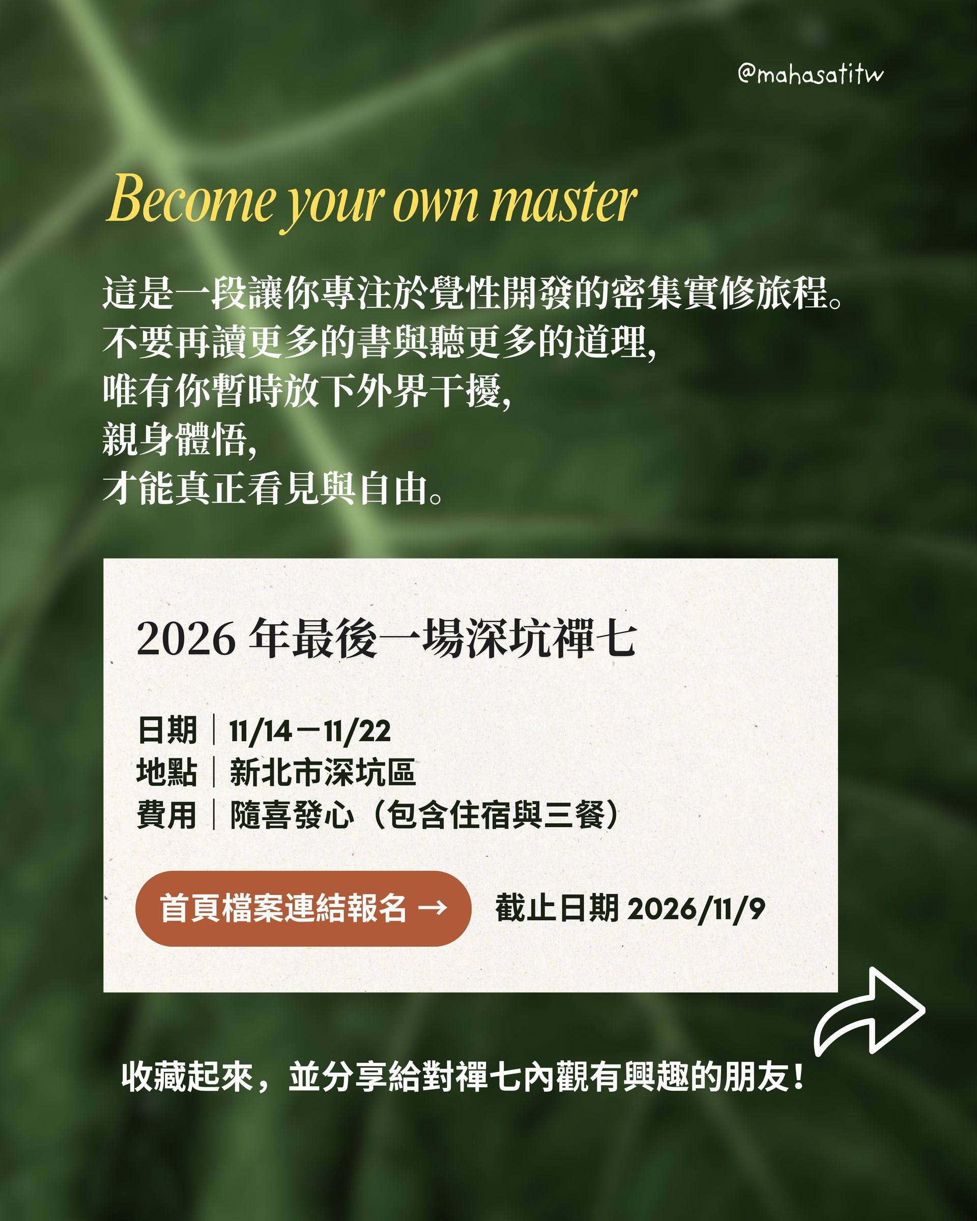 內觀|正念動中禪|深坑|禪七報名資訊