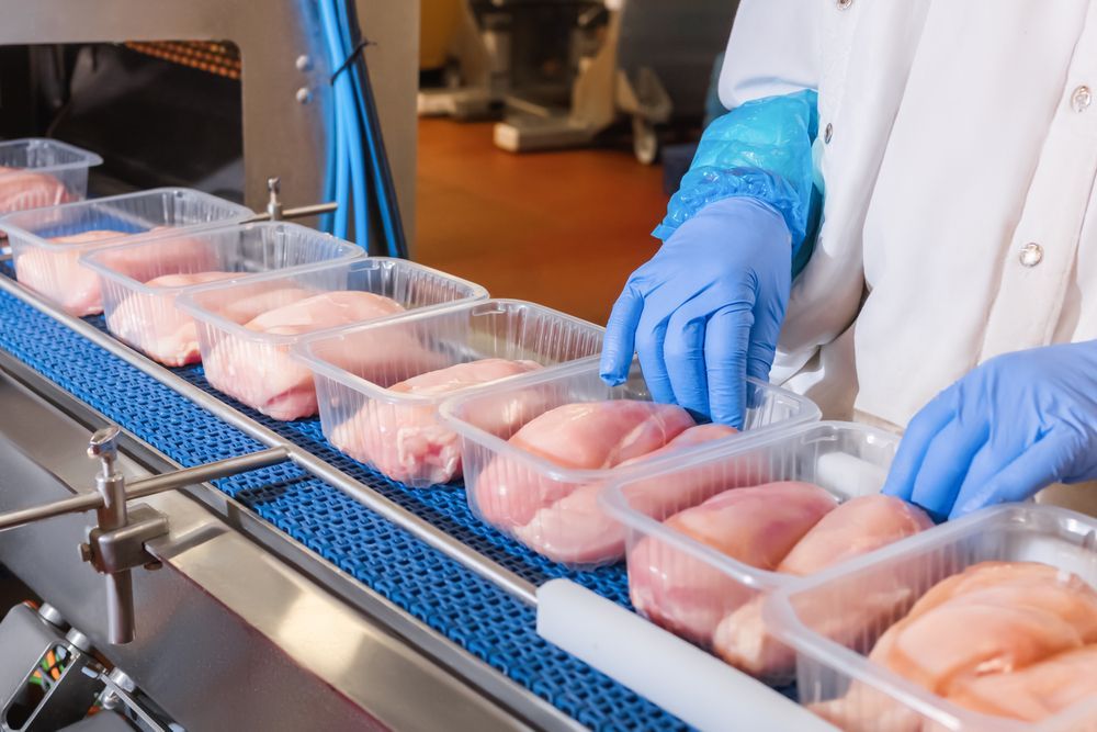 A Person Is Packing Chicken On A Conveyor Belt — McGrath Meats In Taree, NSW