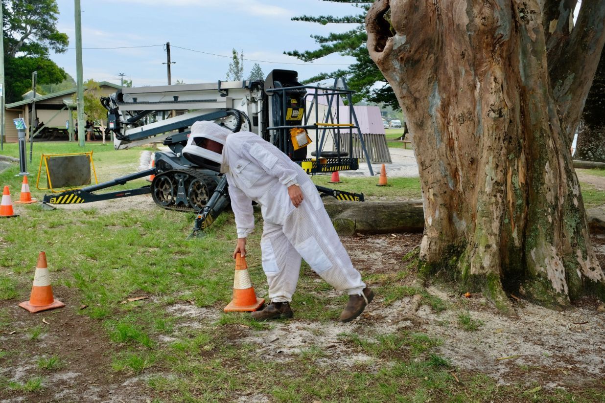 A man in a bee suit is standing next to a tree — Lennox Head Tree Care In Lennox Head, NSW