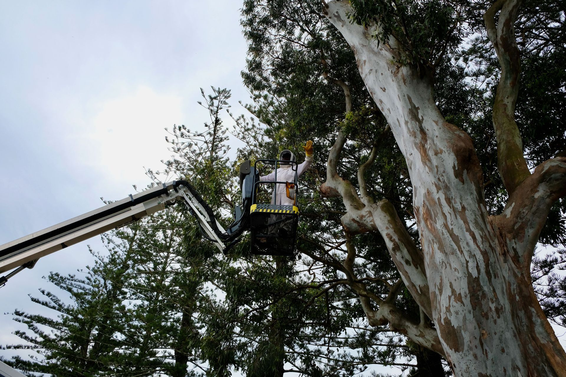 A Person Wearing Gloves Is Spreading Mulch In A Garden — Lennox Head Tree Care In Lennox Head, NSW
