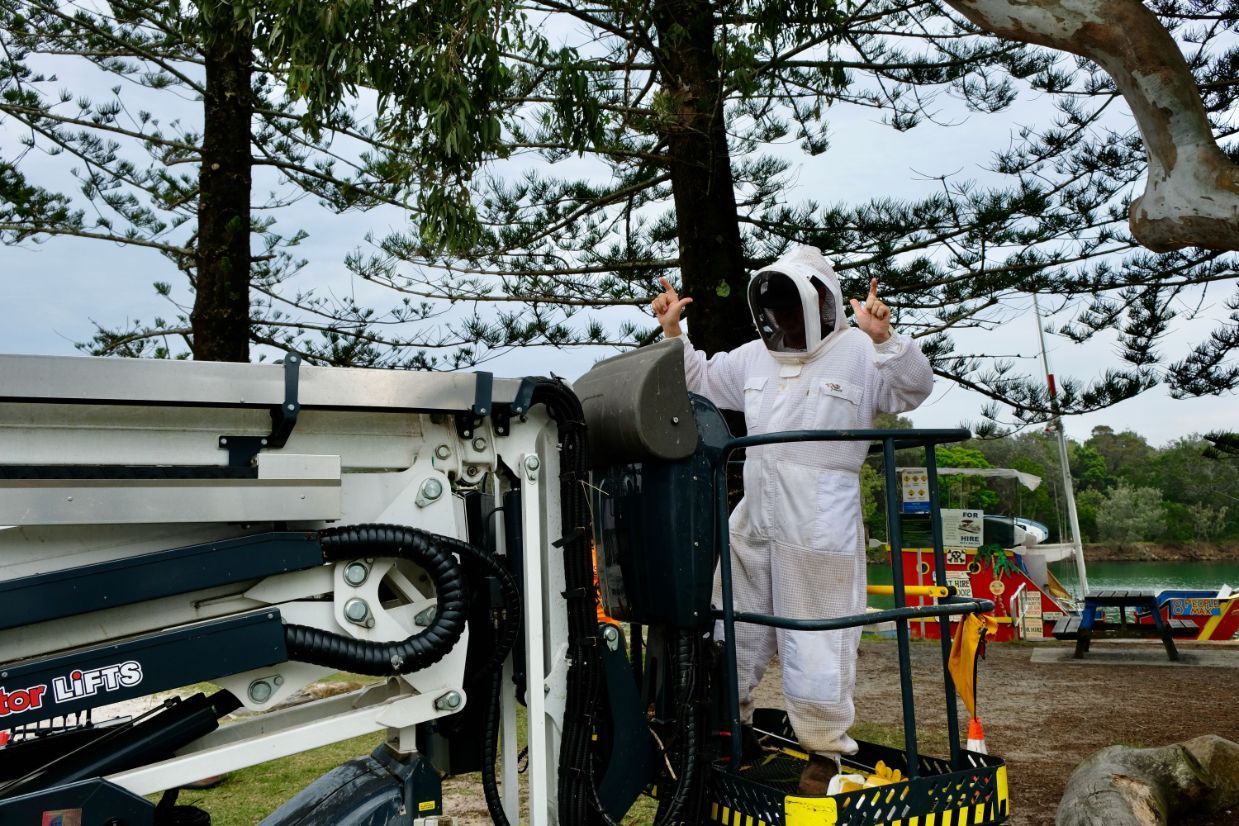 A man in a bee suit is standing on a lift — Lennox Head Tree Care In Lennox Head, NSW