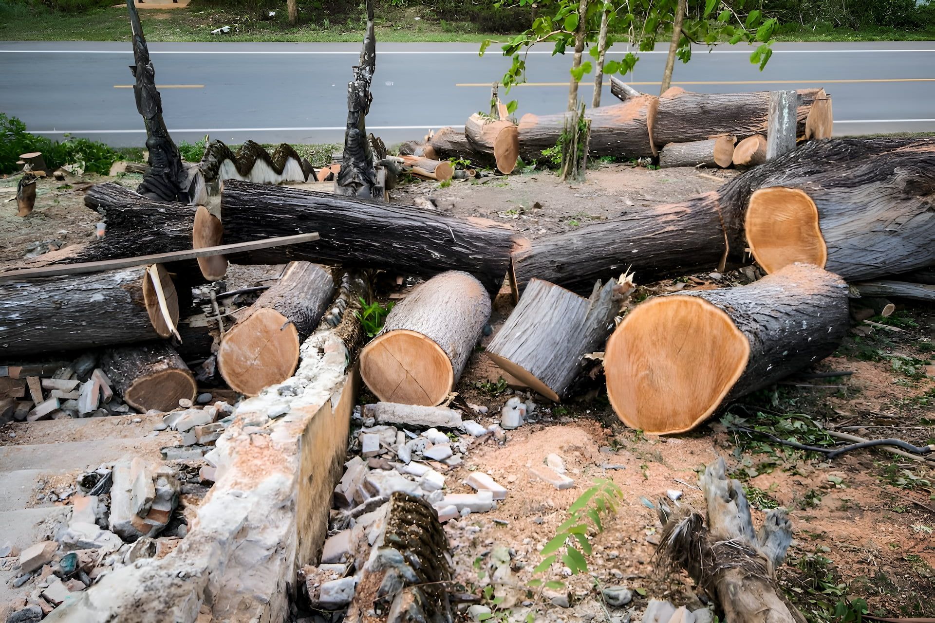 A pile of logs laying on the ground next to a road — Lennox Head Tree Care In Lennox Head, NSW