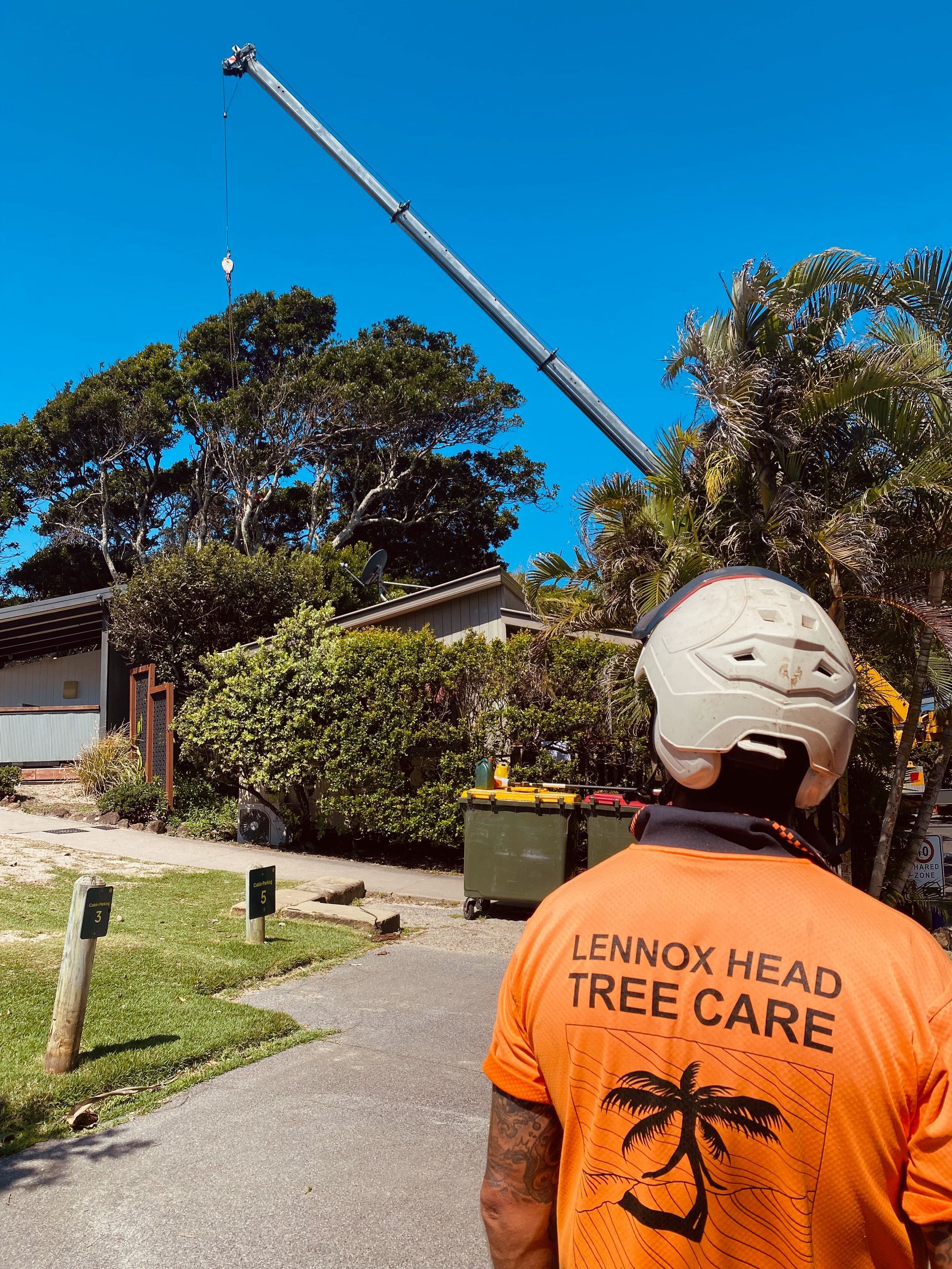 A Tree That Has Fallen On The Side Of The Road In Front Of A House — Lennox Head Tree Care In Lennox Head, NSW