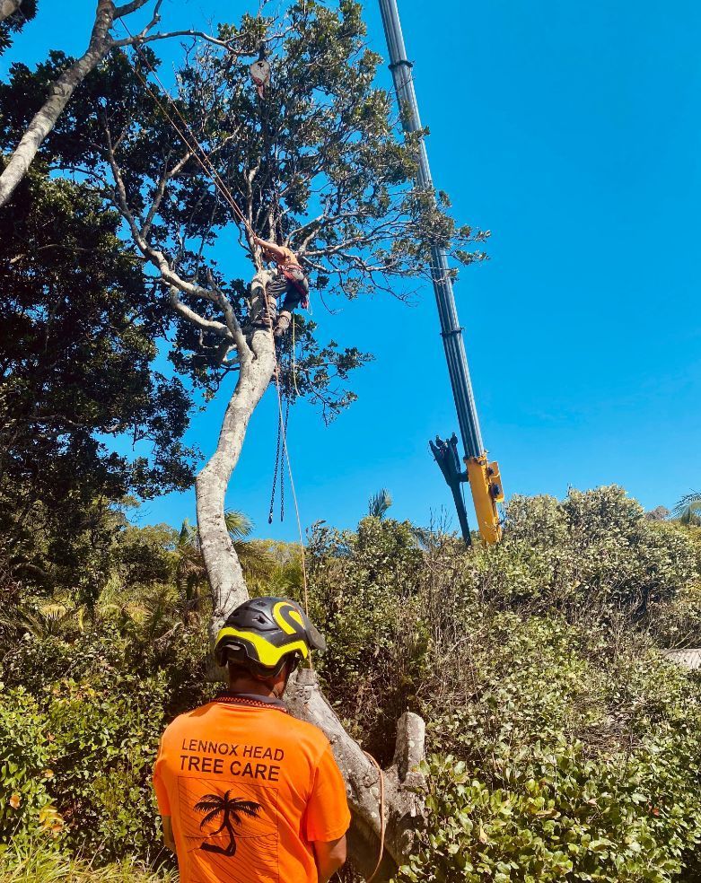 A man in an orange shirt is standing next to a tree — Lennox Head Tree Care In Lennox Head, NSW